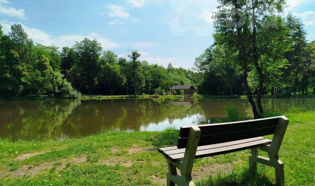 Prodej domu 100 m² s pozemkem 1 313 m², Čejkovice – náhled fotky 15