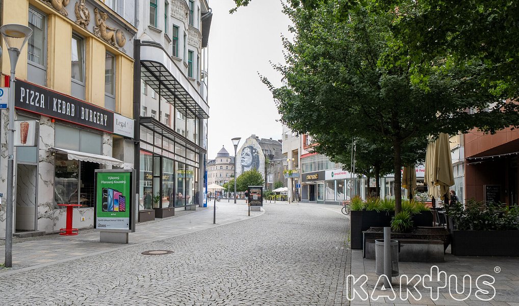 Pronájem bytu 1+kk 26 m², Ostrava – náhled fotky 10