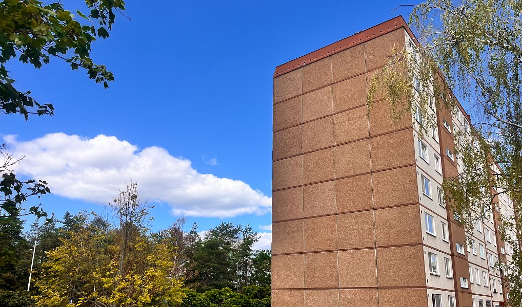Prodej bytu 2+1 55 m², Mladá Boleslav – náhled fotky 2