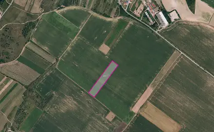 Prodej pole 5 390 m², Znojmo - Popice