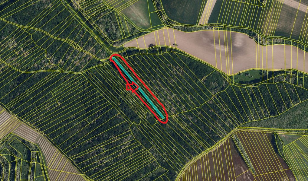 Prodej lesa 1 075 m², Diváky – náhled fotky 4