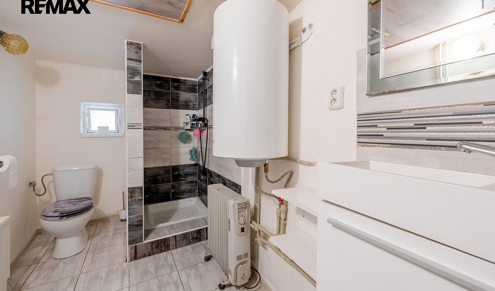 Prodej chaty/chalupy 150 m² s pozemkem 460 m², Neustupov – náhled fotky 12