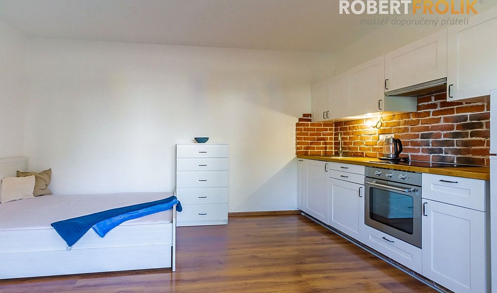 Pronájem bytu 1+kk 30 m², Svémyslice – náhled fotky 3