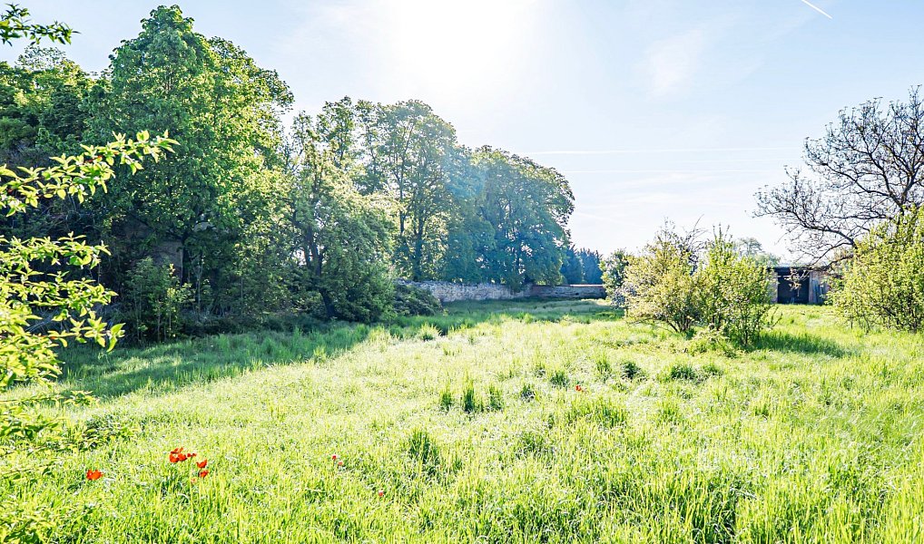 Prodej chaty/chalupy 260 m² s pozemkem 4 006 m², Budyně nad Ohří – náhled fotky 28