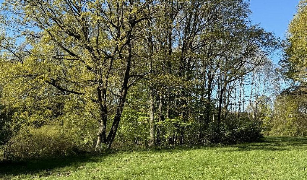 Prodej pozemku 20 250 m², Nýřany – náhled fotky 10