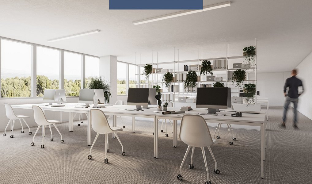 Pronájem skladovacích prostor 2 500 m², Tachov – náhled fotky 7