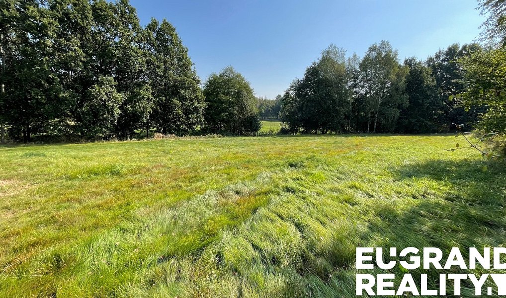 Prodej louky 14 798 m², Šluknov – náhled fotky 2