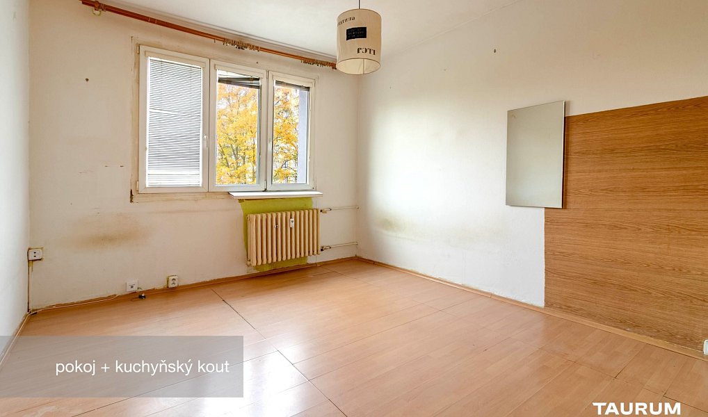 Prodej bytu 1+kk 20 m², Plzeň – náhled fotky 3