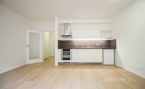 Pronájem bytu 1+kk 34 m², Mlýnská, Brno - Trnitá