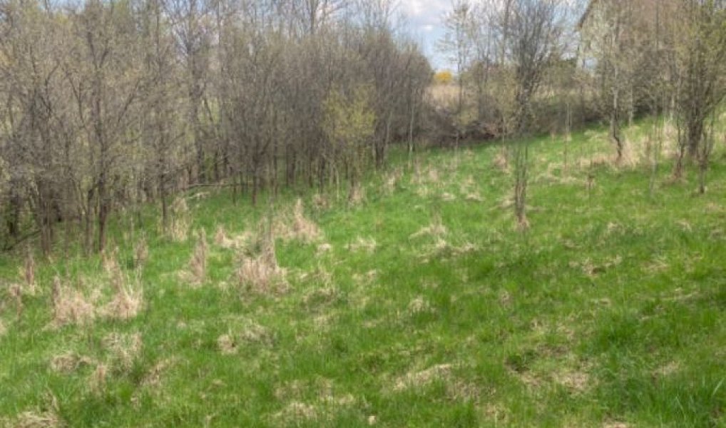 Prodej stavebního pozemku 7 630 m², Sázava – náhled fotky 14