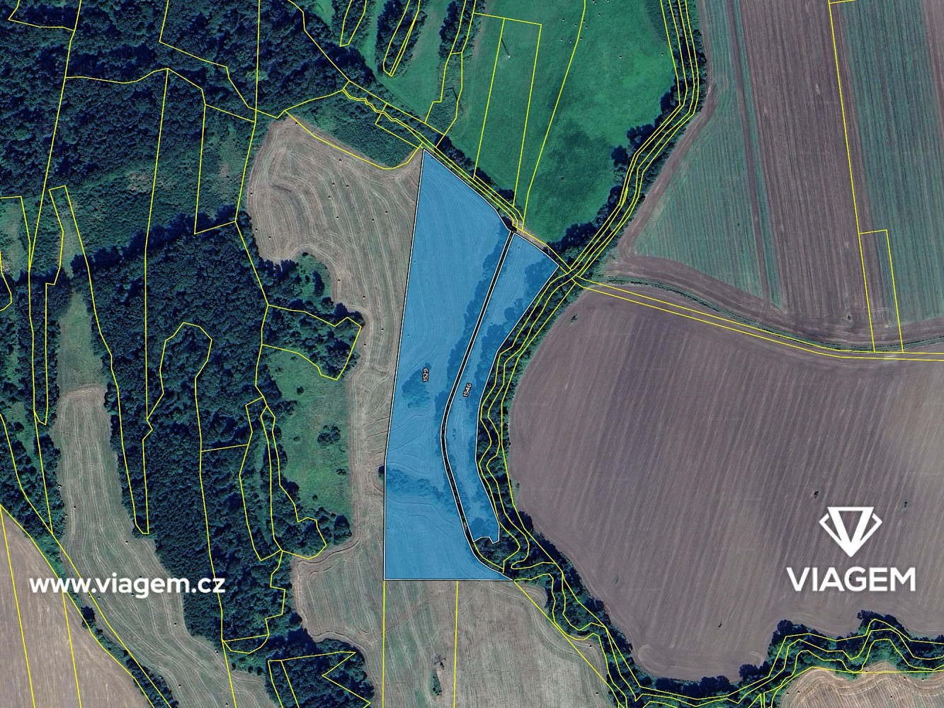 Prodej pole 6 464 m² – fotografie 4