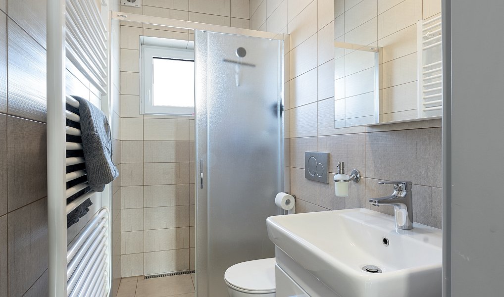 Prodej domu 225 m² s pozemkem 803 m², Letovice – náhled fotky 37