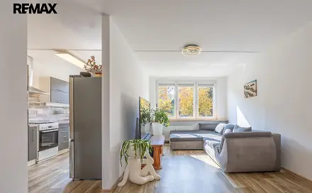 Prodej bytu 4+1 103 m², Josefa Ševčíka, Most
