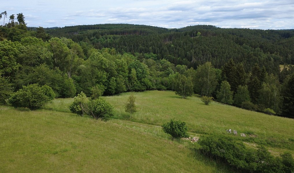 Prodej stavebního pozemku 1 435 m², Planá – náhled fotky 7