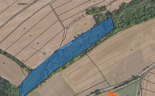 Prodej lesa 3 541 m², Kochánky, okres Mladá Boleslav