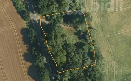 Pronájem louky 3 000 m²