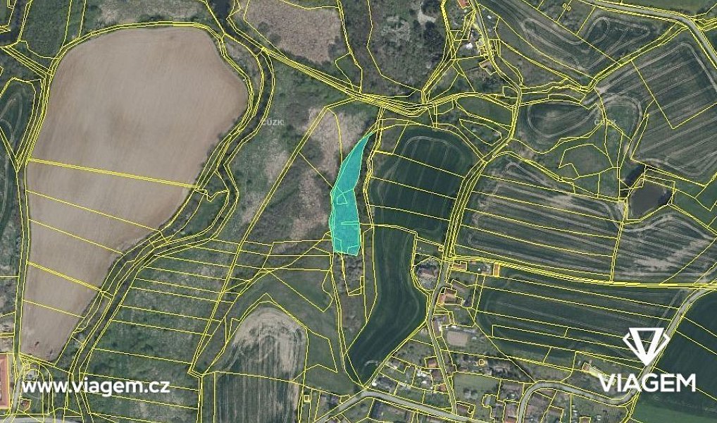 Prodej pole 2 875 m², Ždírec – náhled fotky 4