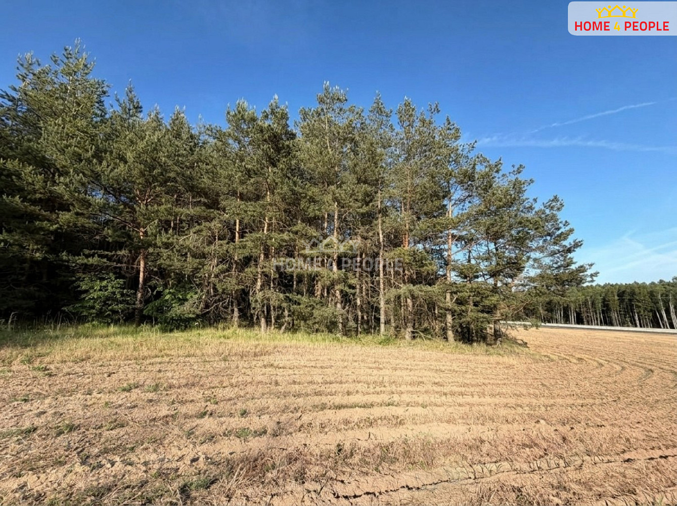 Prodej lesa 4 000 m² — photo 4