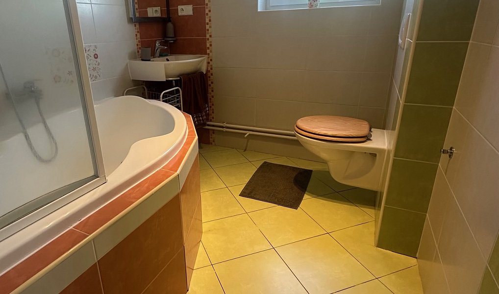 Prodej chalupy 130 m² s pozemkem 734 m², Benešov nad Černou – náhled fotky 24