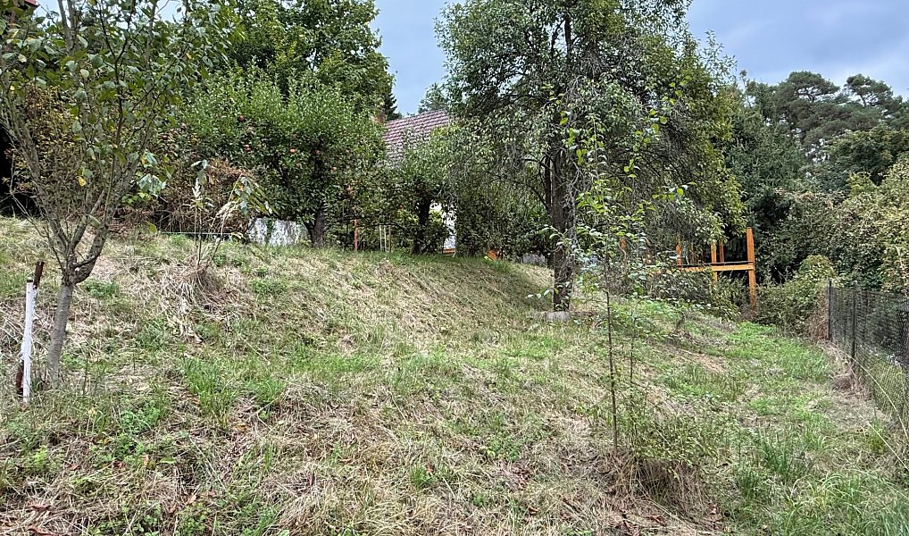 Prodej chaty/chalupy 50 m² s pozemkem 670 m², Nespeky – náhled fotky 21