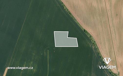 Prodej pole 10 484 m², Vinařice, okres Mladá Boleslav