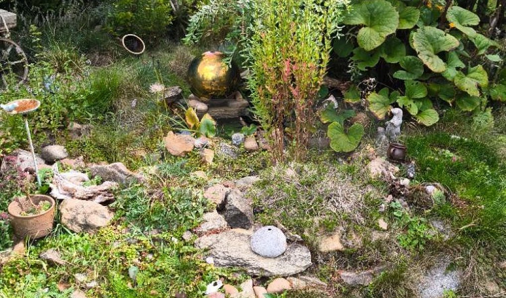 Prodej zahrady 569 m², Žlutice – náhled fotky 22