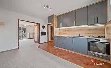 Prodej bytu 2+1 50 m², Wolkerova, Pardubice - Zelené Předměstí