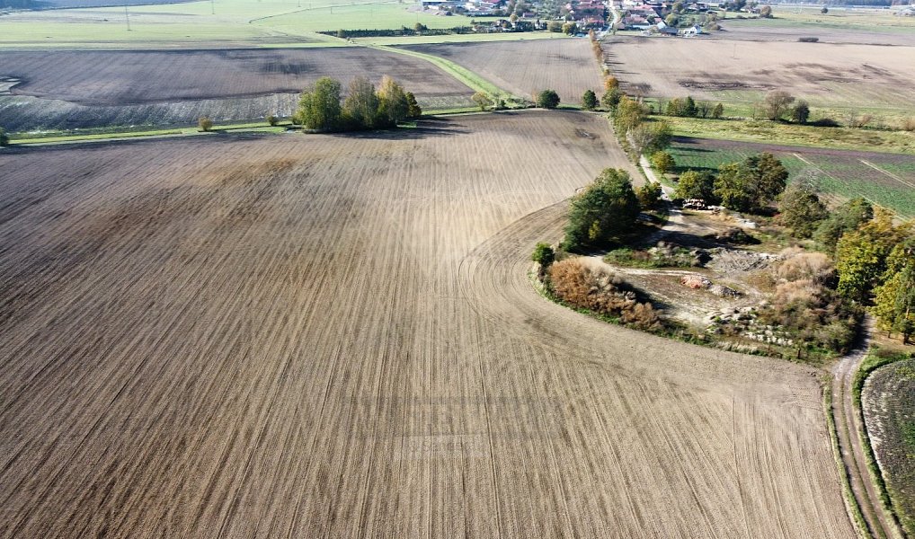 Prodej pole 49 992 m², Řípec – náhled fotky 10