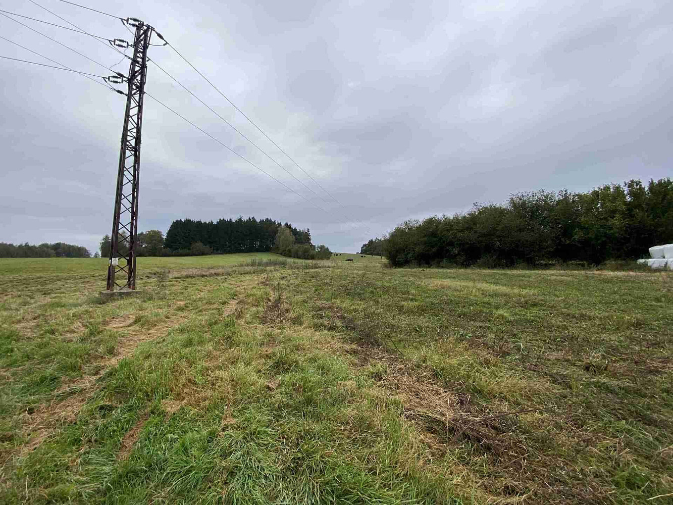 Prodej pozemku 11 798 m² – fotografie 2