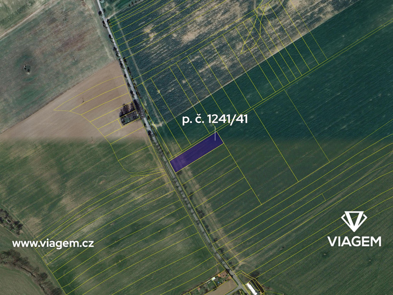 Prodej pole 921 m² – fotografie 4