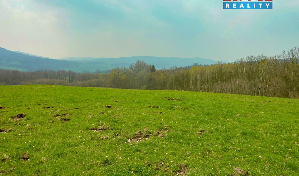 Prodej louky 55 278 m², Stružnice – náhled fotky 4
