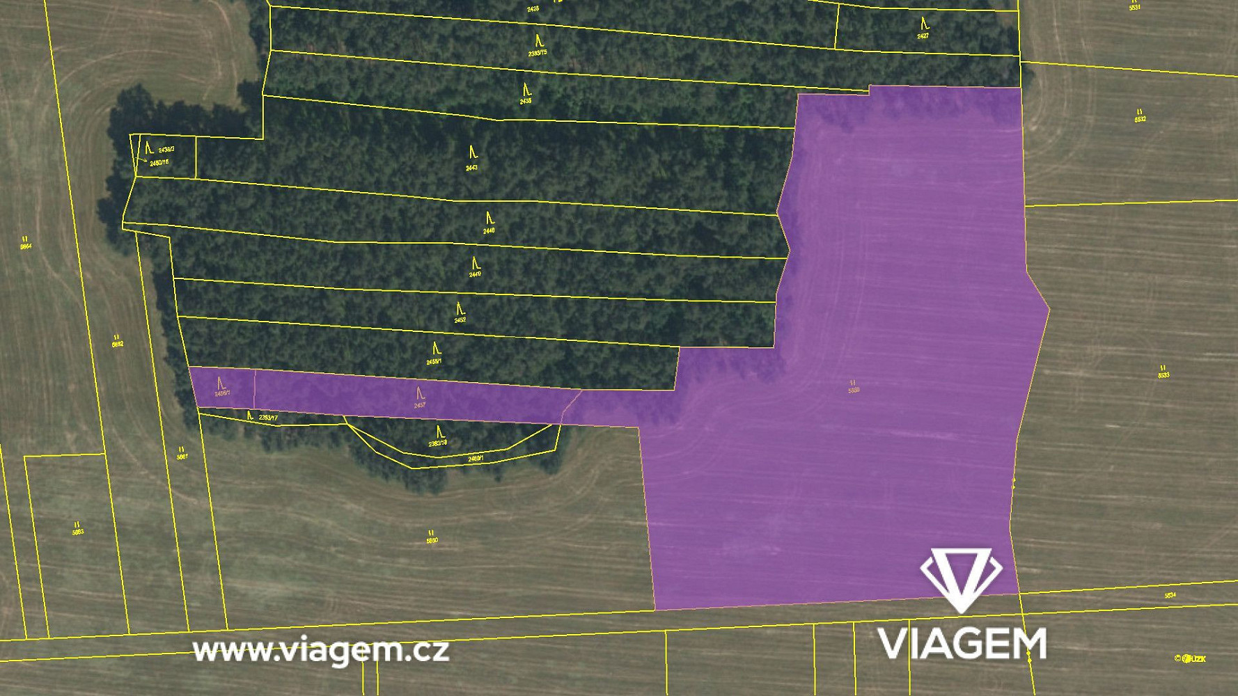 Prodej pole 5 464 m² – fotografie 4