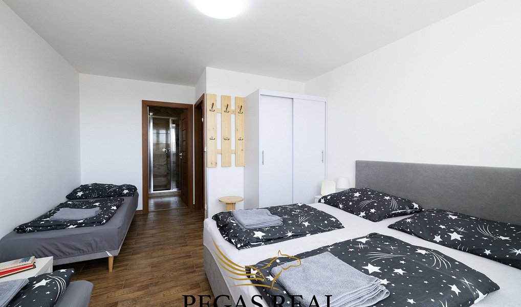 Prodej domu 271 m² s pozemkem 523 m², Březí – náhled fotky 12