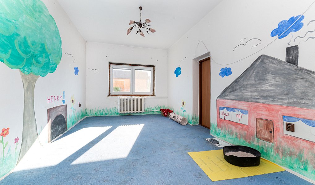 Prodej domu 450 m² s pozemkem 264 m², Sudice – náhled fotky 17