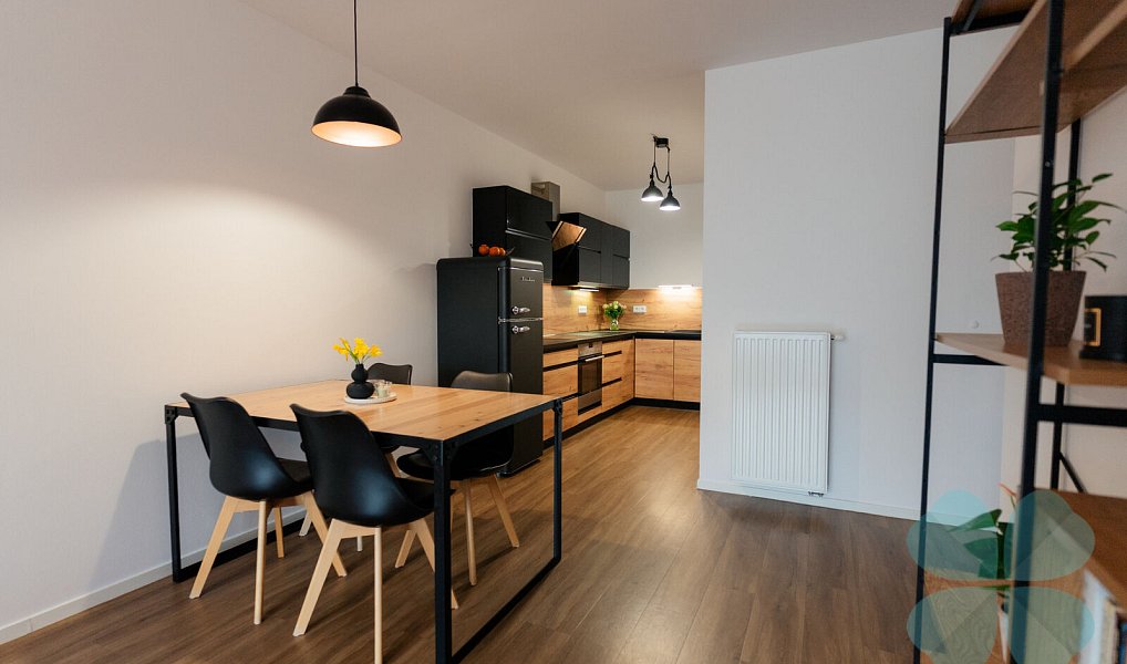 Pronájem bytu 2+kk 67 m², Plzeň – náhled fotky 6
