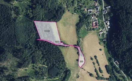 Prodej louky 13 383 m², Městečko Trnávka, okres Svitavy