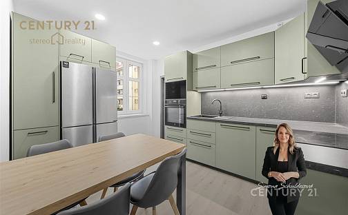 Prodej bytu 3+1 62 m², Metelkovo náměstí, Teplice - Trnovany