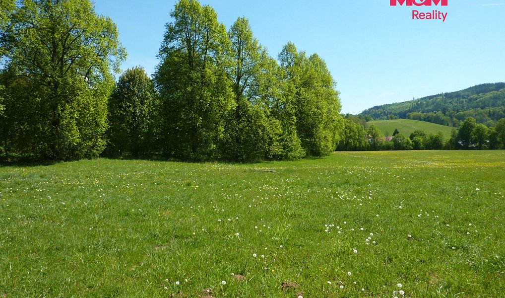 Prodej louky 20 490 m², Náchod – náhled fotky 8