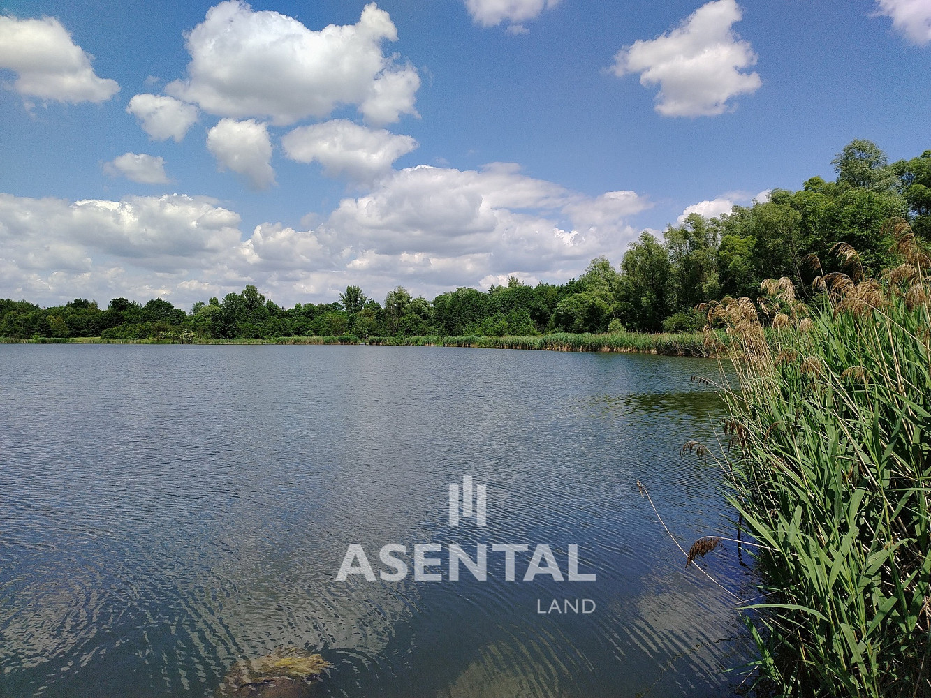 Prodej pozemku 285 924 m² – fotografie 2