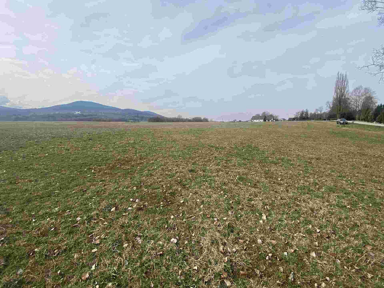 Prodej stavebního pozemku 3 502 m² – fotografie 5