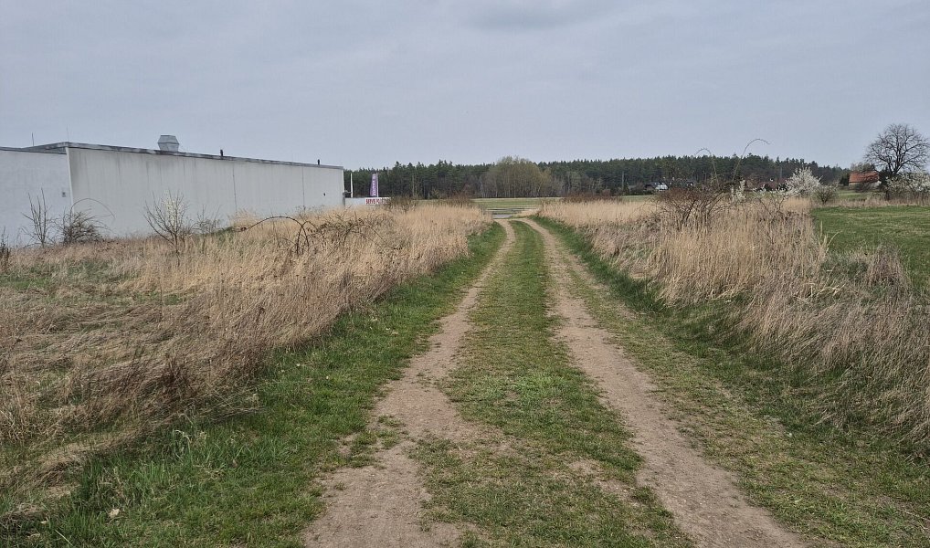 Prodej komerčního pozemku 2 917 m², Doksy – náhled fotky 5