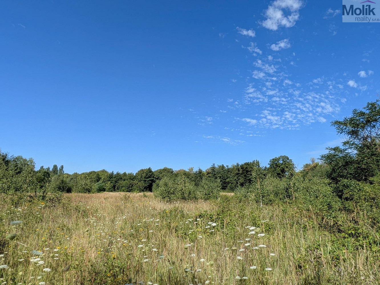 Prodej stavebního pozemku 1 155 m² – fotografie 5