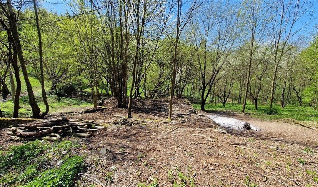 Prodej stavebního pozemku 1 417 m², Radčice – náhled fotky 14
