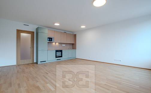 Pronájem bytu 1+kk 42 m², Toyen, Praha 5 - Smíchov