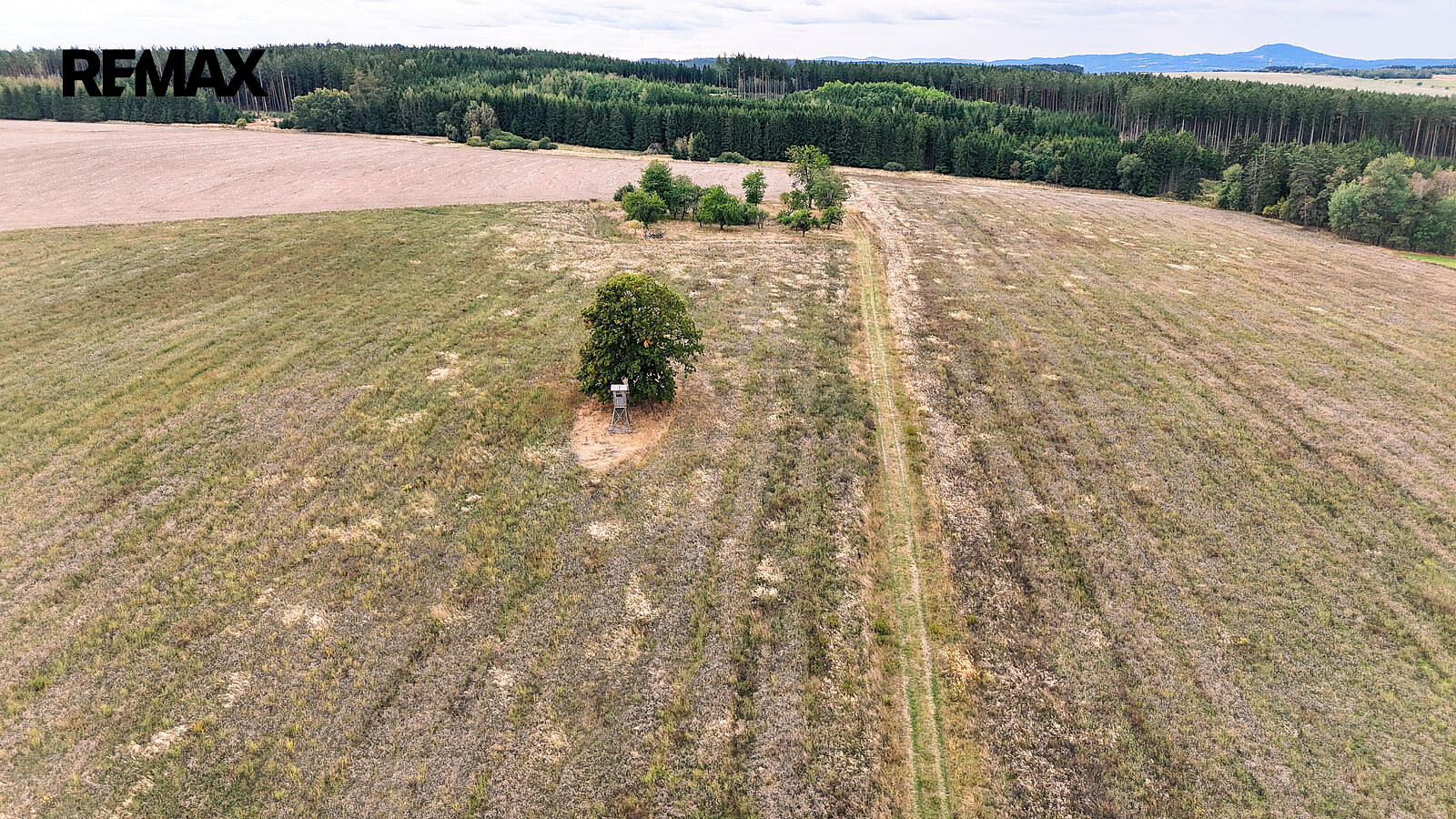 Prodej stavebního pozemku 3 633 m² – fotografie 3