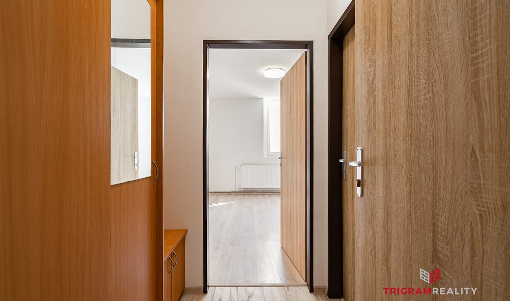 Pronájem bytu 1+kk 18 m², Hradec Králové – náhled fotky 3