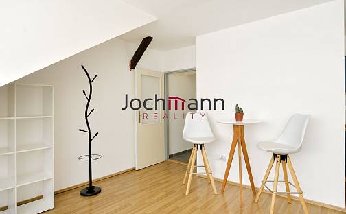 Pronájem bytu 1+kk 30 m², Nová, České Budějovice - České Budějovice 3