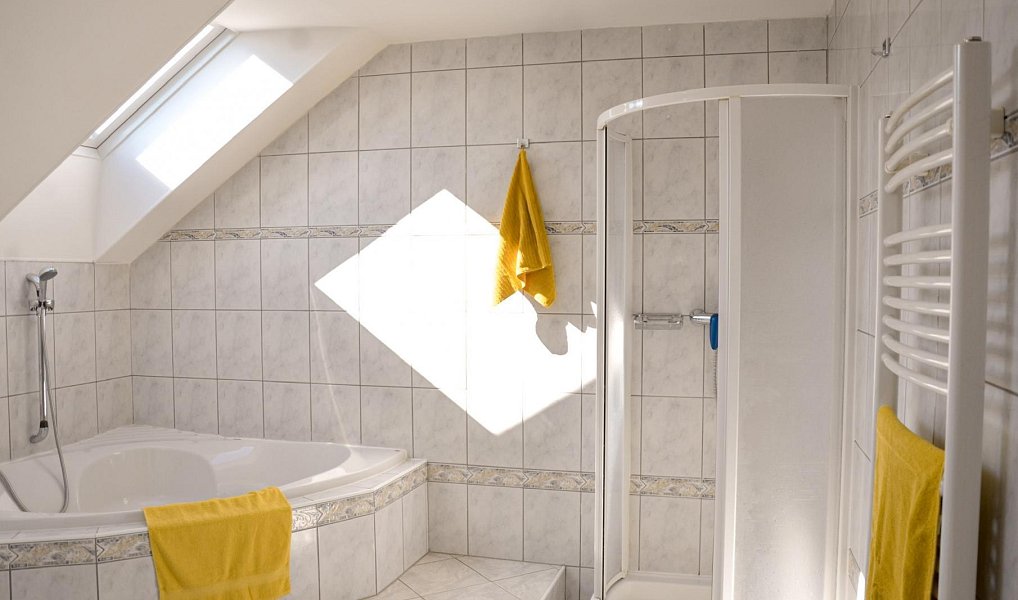Prodej domu 392 m² s pozemkem 3 190 m², Olšany – náhled fotky 24