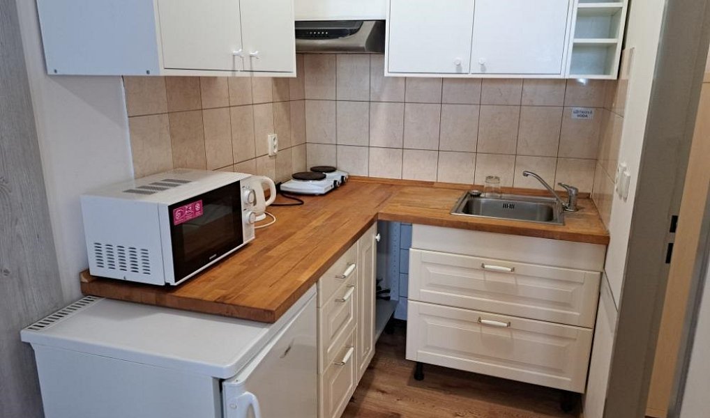 Pronájem bytu 1+kk 25 m², Jámy – náhled fotky 3