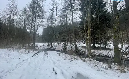 Prodej lesa 43 832 m², Příkrý, okres Semily